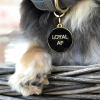 Loyal AF Pet Tag