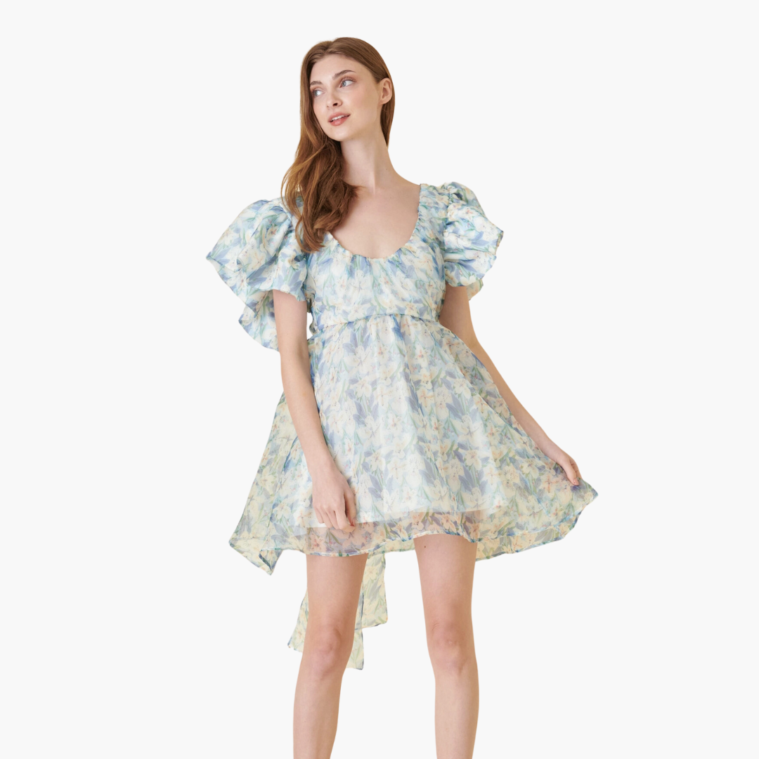 Watercolor Floral Organza Mini Dress