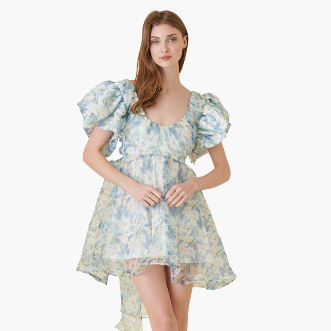 Watercolor Floral Organza Mini Dress