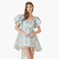 Watercolor Floral Organza Mini Dress