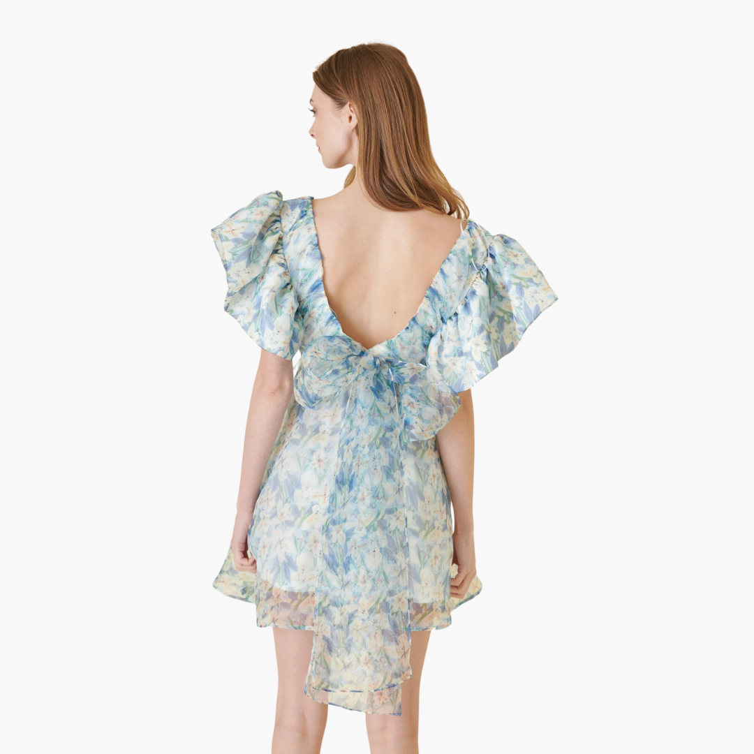 Watercolor Floral Organza Mini Dress