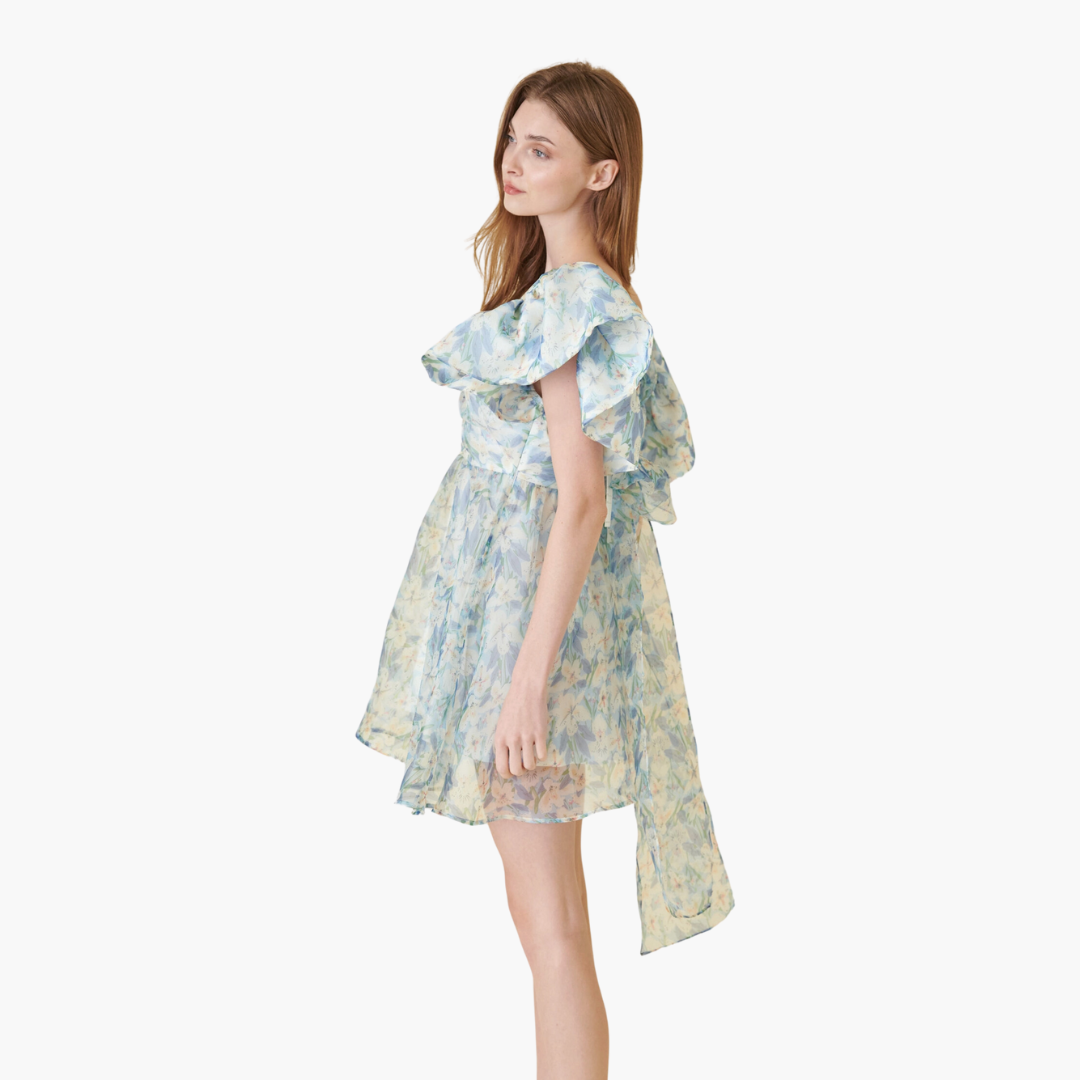 Watercolor Floral Organza Mini Dress