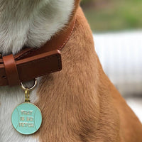 That is So Fetch Pet Tag