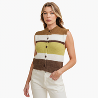 Multi Colored Striped Sweater Vest