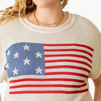 American Flag Sweater Top - Plus