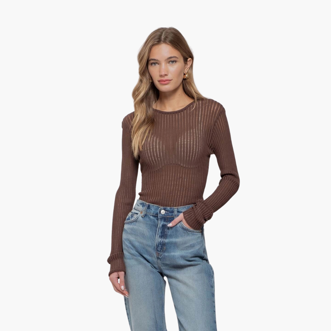 Sheer Rib Knit Long Sleeve Sweater