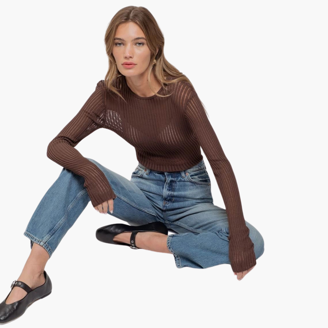 Sheer Rib Knit Long Sleeve Sweater