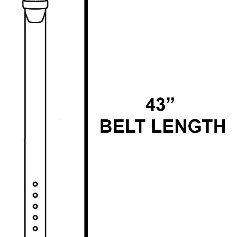 Silver Ornate Single Turquoise Stud Hoop Chain Belt