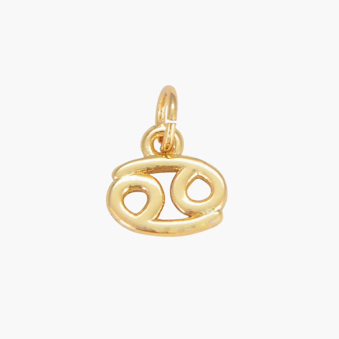 Gold Filled Astrological Sign Charms