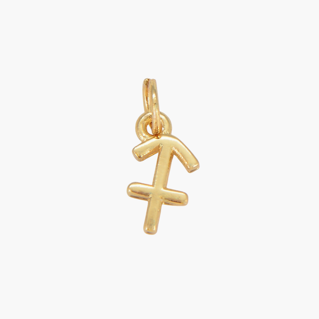 Gold Filled Astrological Sign Charms